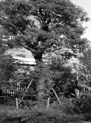 江西注册公司